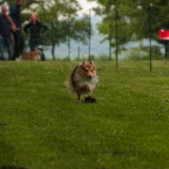 img_3901_20230516_1889917430