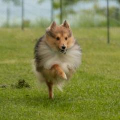 img_3902_20230516_1184398742