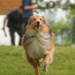 img_3907_20230516_1228628541