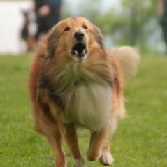 img_3910_20230516_2054370604