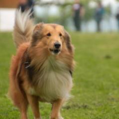 img_3912_20230516_1894489239