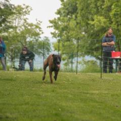 img_3918_20230516_1604950563