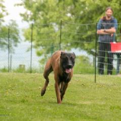 img_3919_20230516_2066822662