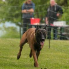 img_3920_20230516_1528895221
