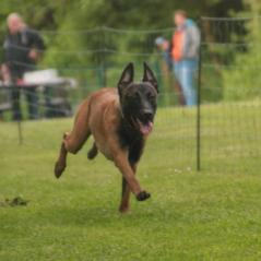 img_3921_20230516_1204402369