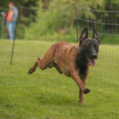 img_3922_20230516_1671667389