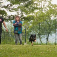 img_3926_20230516_1571163159