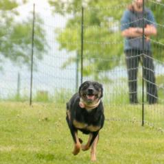 img_3929_20230516_1330577256