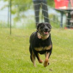 img_3930_20230516_1625747025