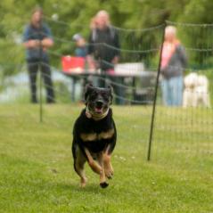 img_3931_20230516_1694904587
