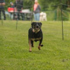 img_3932_20230516_1085555425