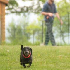 img_3944_20230516_1307865426
