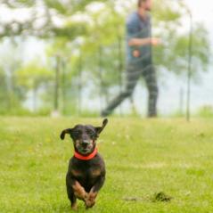 img_3946_20230516_1998698709