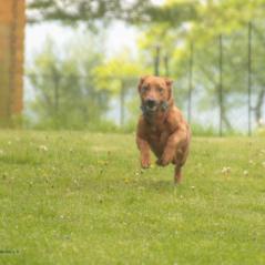 img_3965_20230516_2048250741