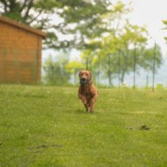 img_3966_20230516_1156086720