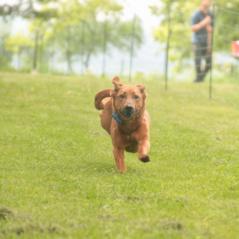 img_3969_20230516_1460194106