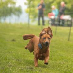 img_3970_20230516_1681734024