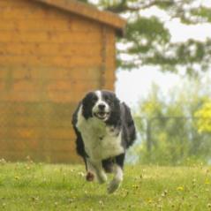 img_3977_20230516_1814664643