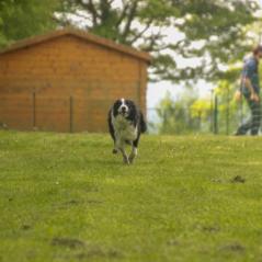 img_3978_20230516_1992903387