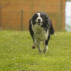 img_3979_20230516_2033902329