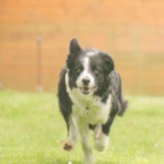 img_3980_20230516_1739038628