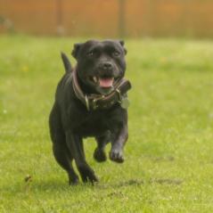 img_3989_20230516_2066253181