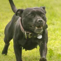 img_3991_20230516_1545424206