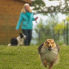 img_3995_20230516_1648031659