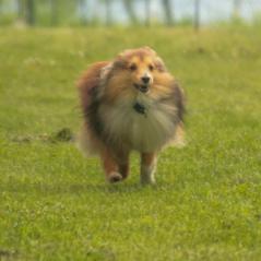 img_3996_20230516_1721263454