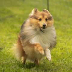 img_3998_20230516_2005412222