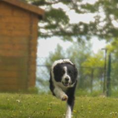 img_4002_20230516_1386169592