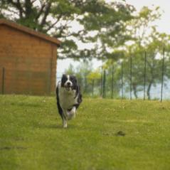 img_4003_20230516_1579369634