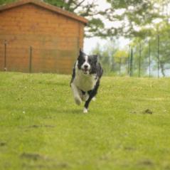 img_4004_20230516_1597080602