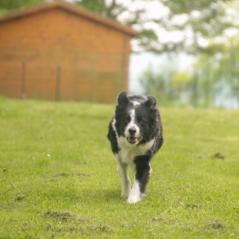 img_4005_20230516_1849292278