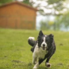 img_4006_20230516_1006278601