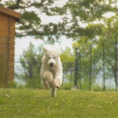 img_4010_20230516_2047983309