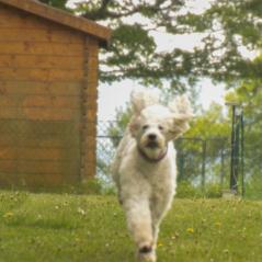 img_4011_20230516_1396046897