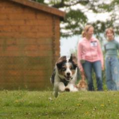 img_4019_20230516_1089462452