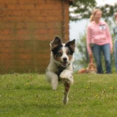 img_4020_20230516_1810298978