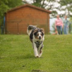 img_4021_20230516_1208561248