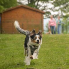 img_4022_20230516_2003518675