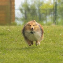 img_4028_20230516_1806078351