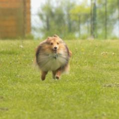 img_4029_20230516_1116859359