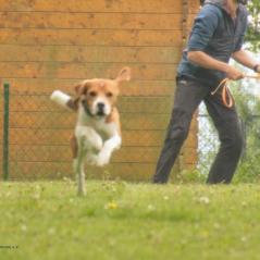 img_4034_20230516_1373806603