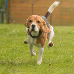 img_4036_20230516_1772882027