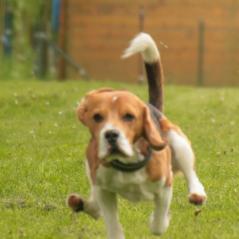 img_4037_20230516_1610285435