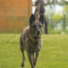 img_4051_20230516_1614672043