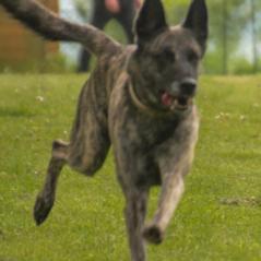 img_4052_20230516_2041582978