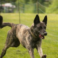 img_4053_20230516_1649140274