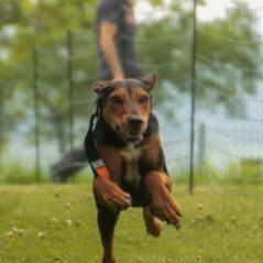 img_4063_20230516_1232903379